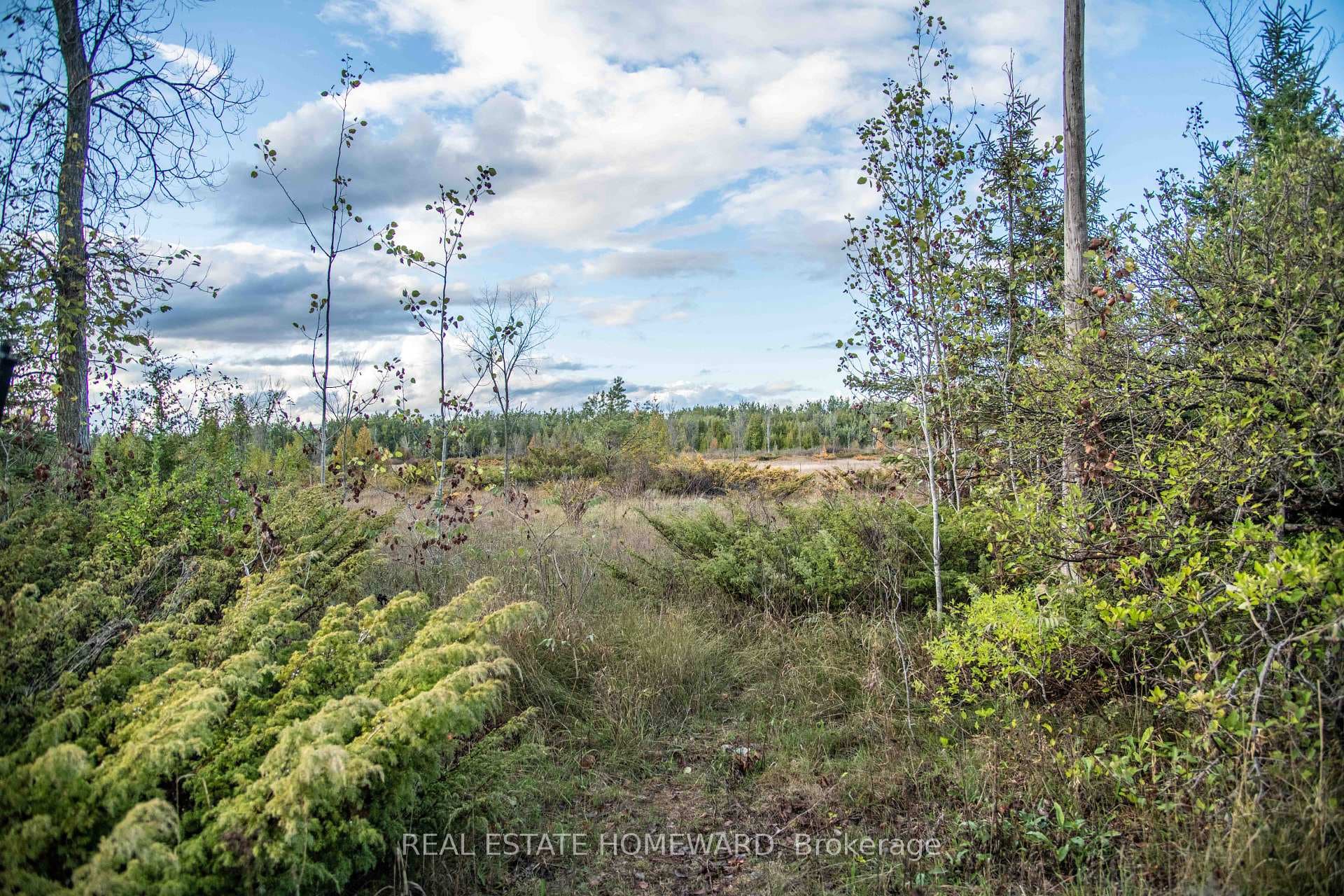 254-256 McGuire Beach Road — Vacant Land for sale in Carden, Kawartha Lakes