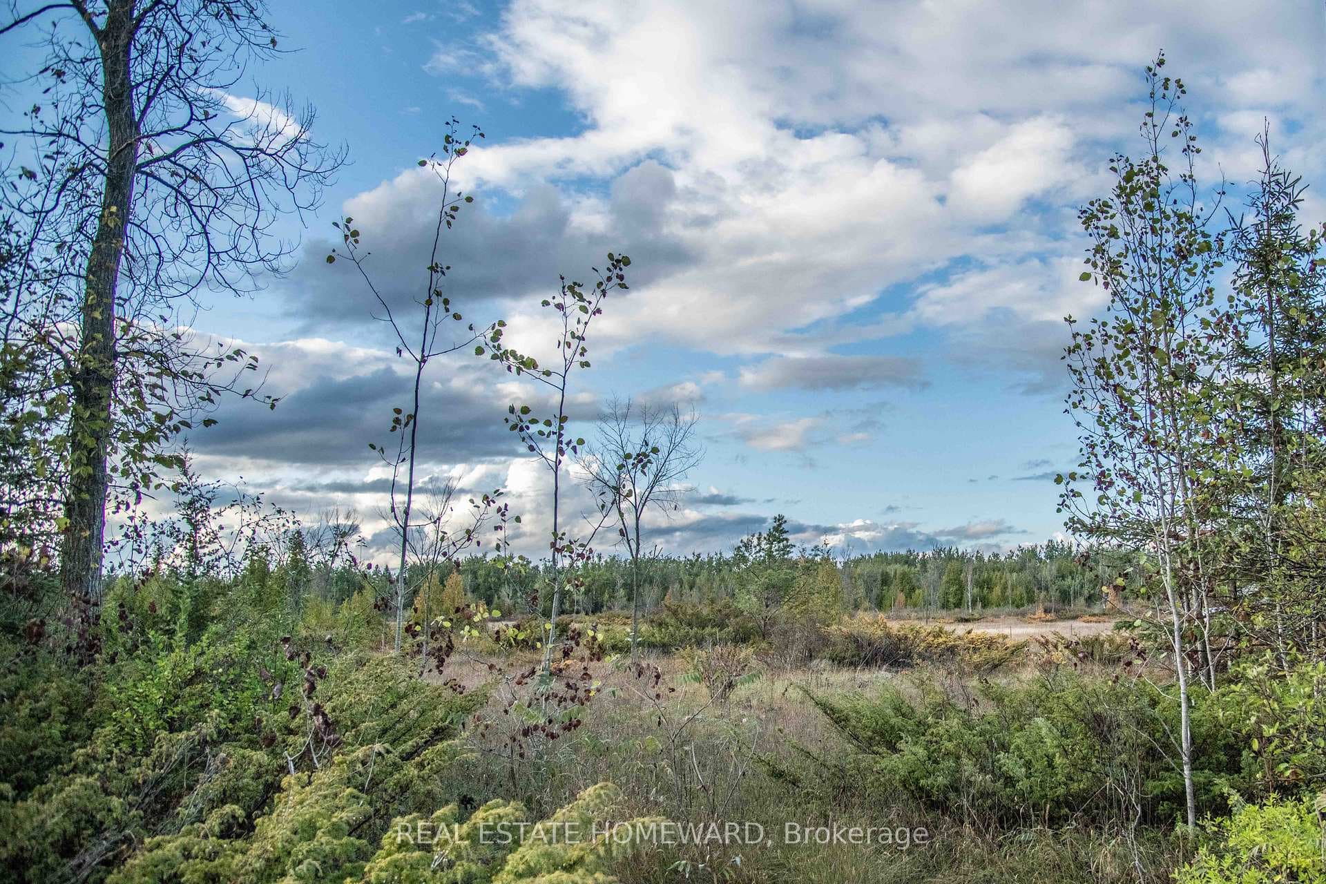 Lot 254 McGuire Beach Road — Vacant Land for sale in Carden, Kawartha Lakes
